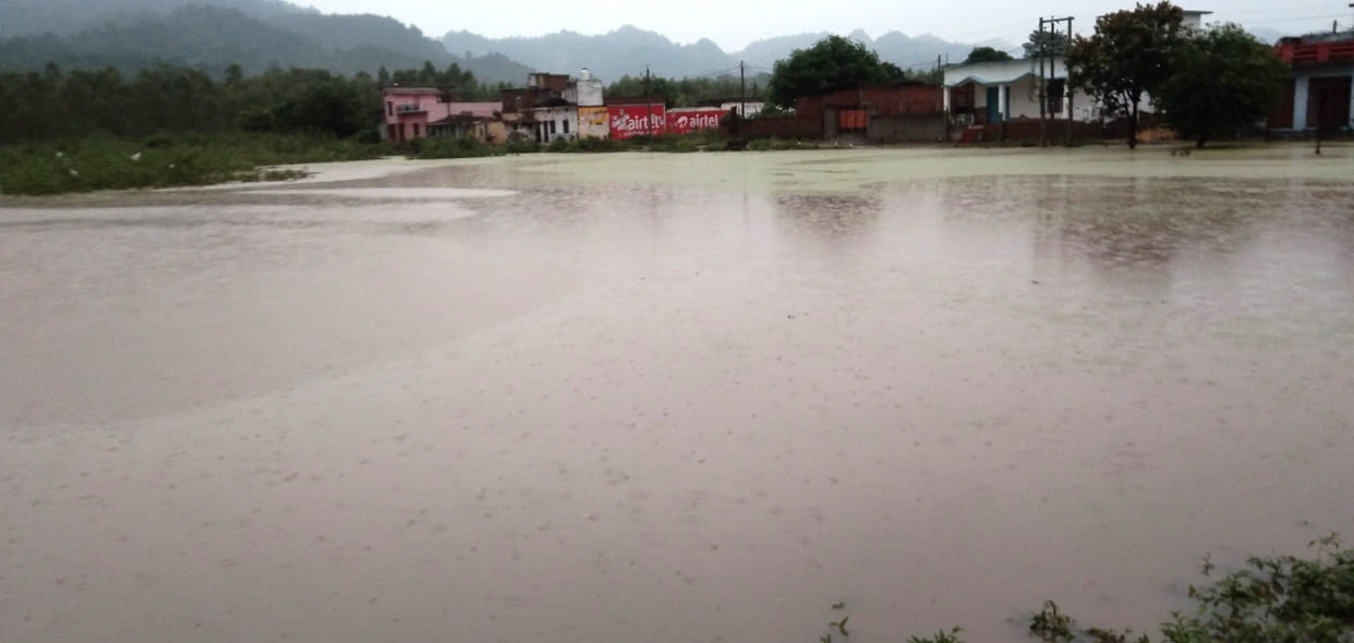 Due to rain in Kalagarh, there is a boom in Sukhasot