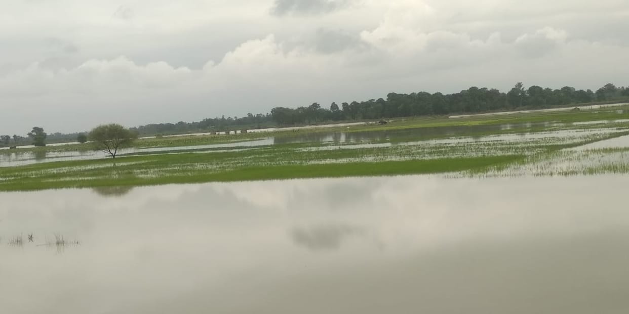rapti river water flow news