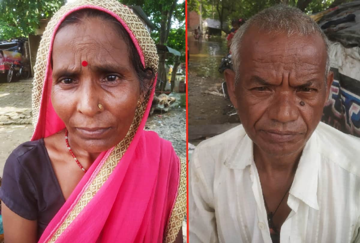 Gorakhpur Flood News: painful story of flood affected people and cattle also hiding in single piece of plastic