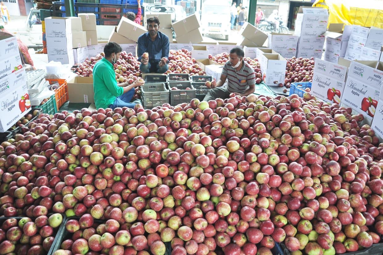 Due to the knock in Kullu of Delhi's arhtiyas, there was a stir in the mandis