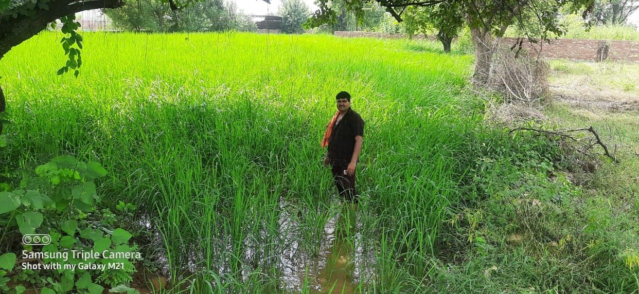 agriculture