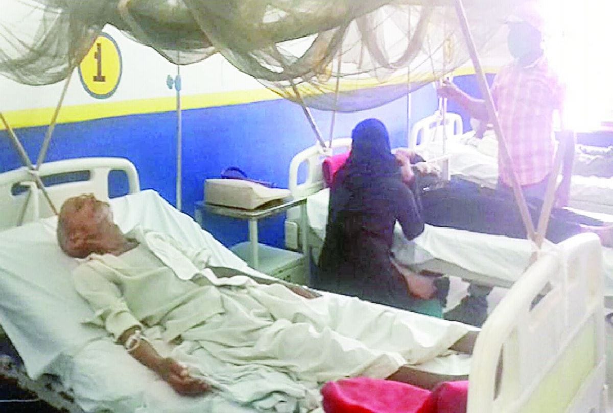 Dengue And Viral Fever In Agra Devison 11 Death Latest News