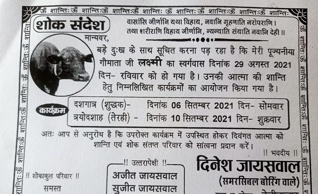 Death of a 17 year old cow laxmi in jaunpur funeral rites by hindu rituals now distributed card for terahavi
