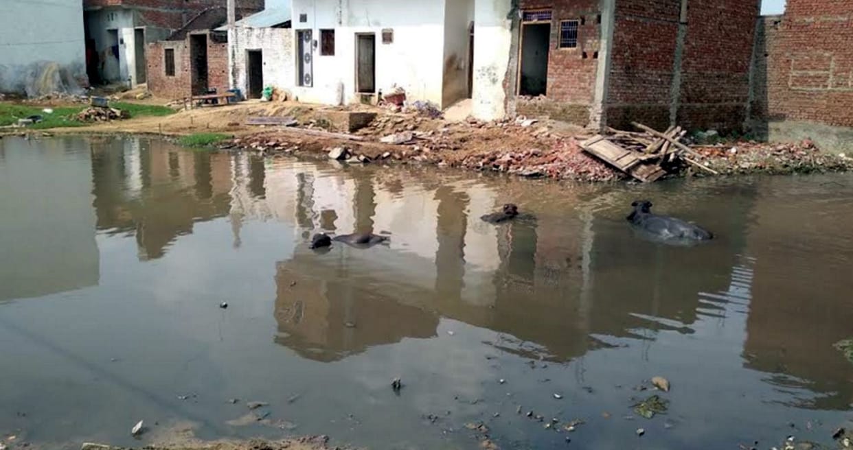 Do not create terrible conditions of diseases, the dirt lying everywhere and the swamps formed on the roads