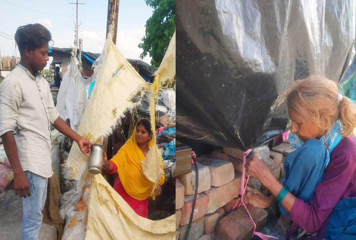 Gorakhpur Flood Special Story: special story on Gorakhpur Flood problem for animals