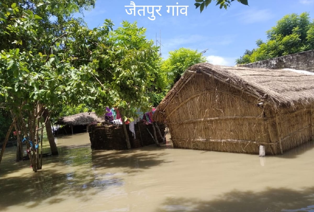 Gorakhpur Flood Special Story: special story on Gorakhpur Flood problem for animals