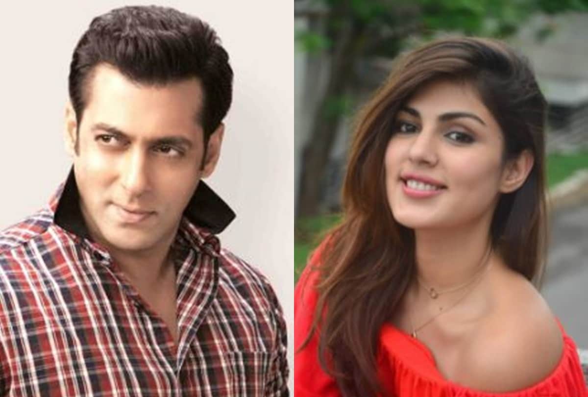 Salman khan to rhea chakraborty these celebs were brutally trolled after death of fans favourite star