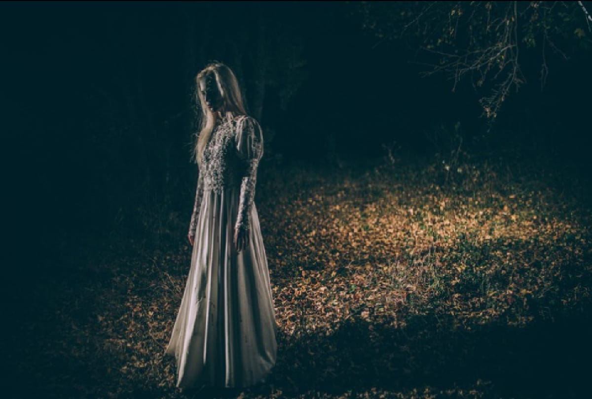 paranormal facts Why do all ghost appears at night know the mystery