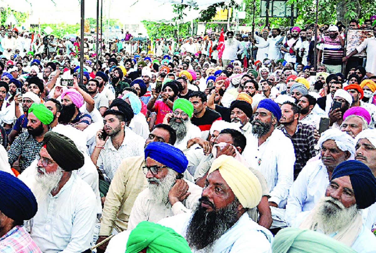 Peasant Movement: So the struggle is going to be long Tikait gave a hint