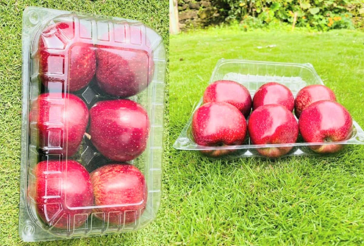 Good News: Now apple will grow on the lines of Kashmir in the lower areas of Jammu division