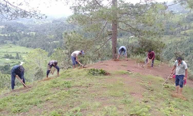 Conservation of Himalaya