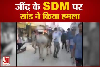 Bull Attacked SDM In Jind Video Viral