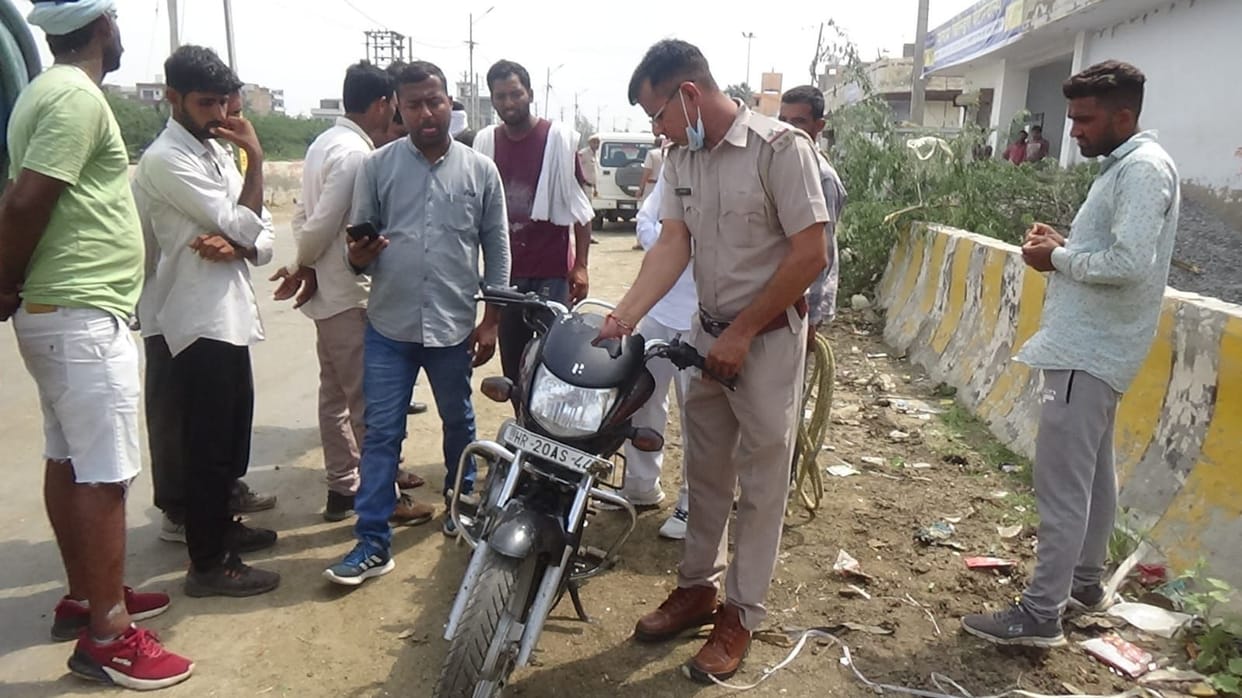 29 animals caught from Rishi Nagar, corporation employees kept talking to catch, due to the slowness of the police, a cattle rancher on a bike escaped