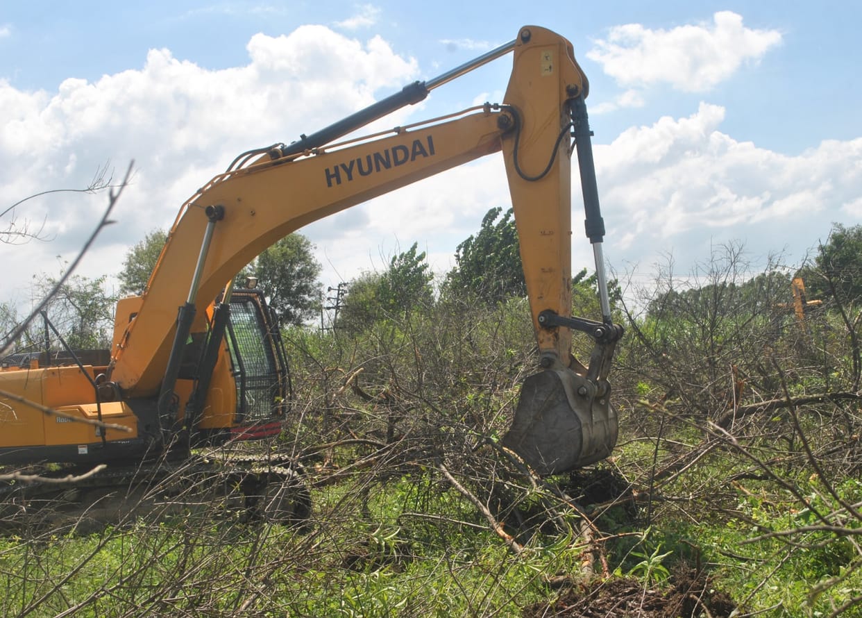 400 trees uprooted without compensation