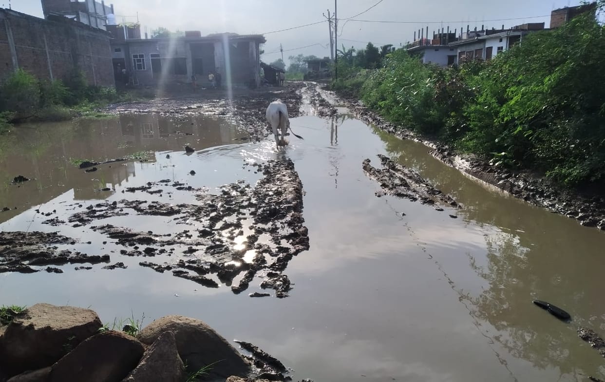 rain relief citizens