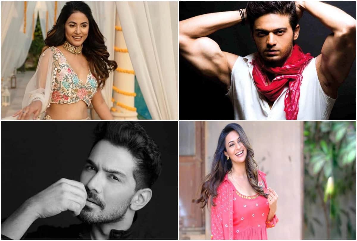 tv celebrities education: know how educated are these famous stars of television