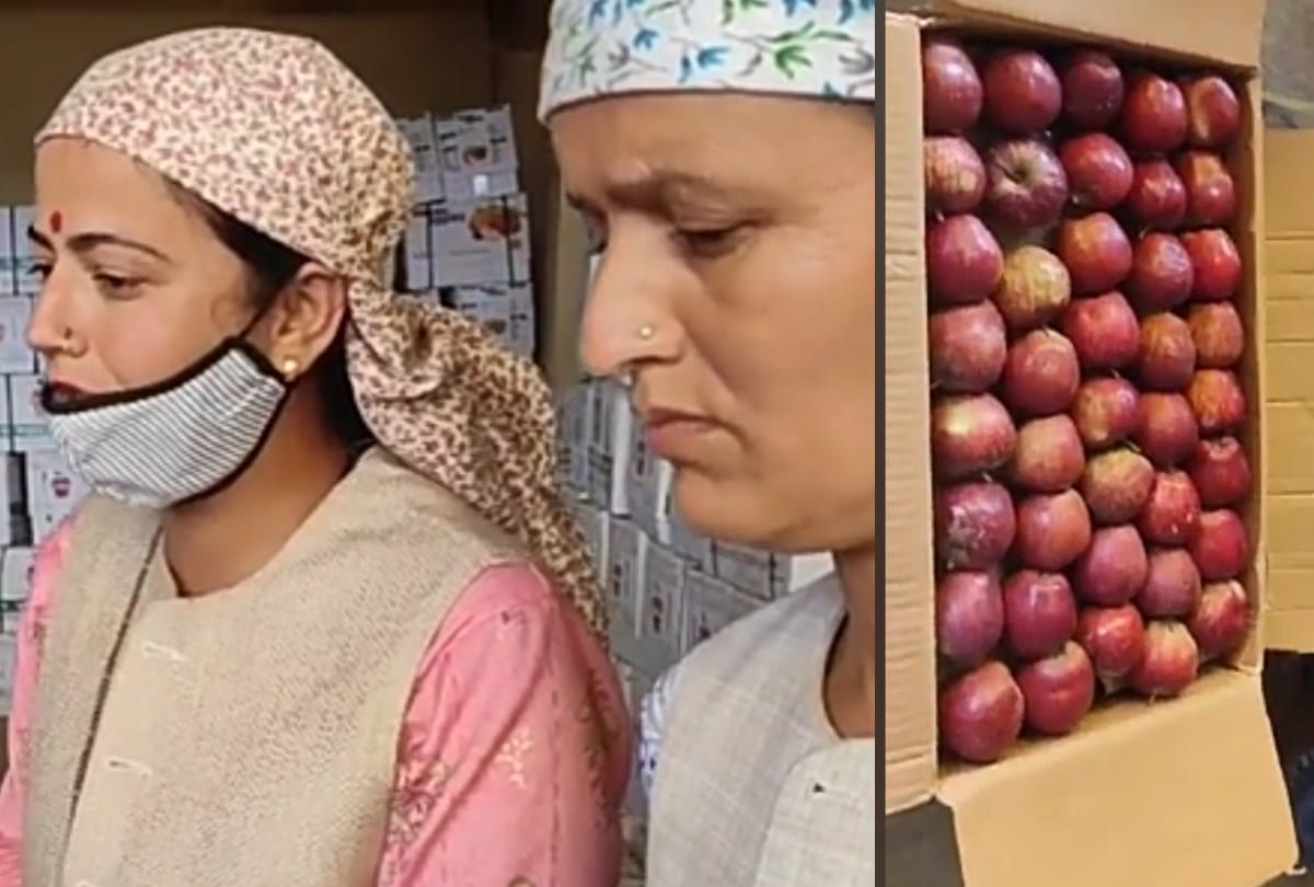 Women reached to sell apples in Matiana Mandi, expressed displeasure over getting low rates