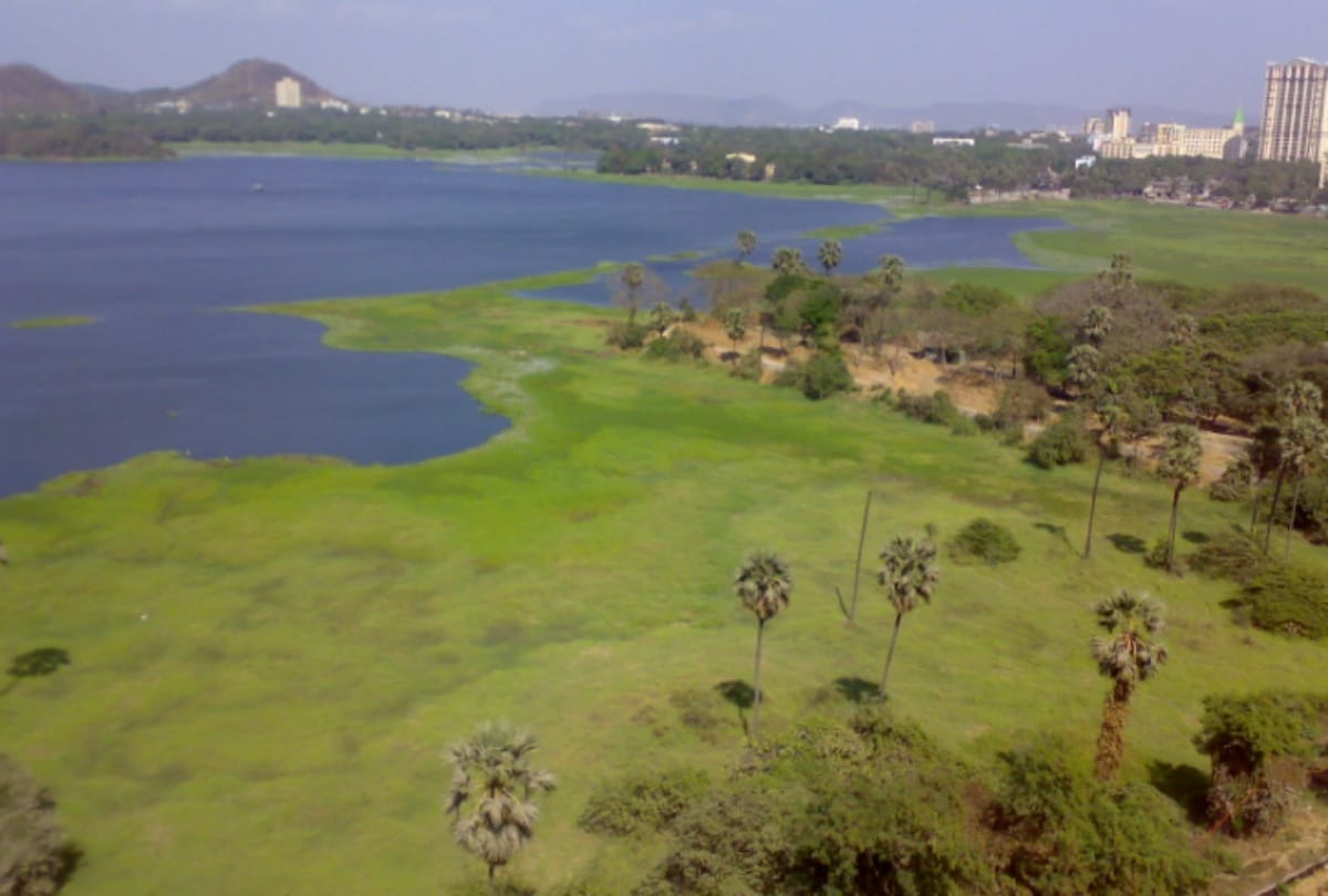 Mumbai teen wins global recognition for environment related project