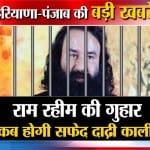 हरियाणा न्यूज