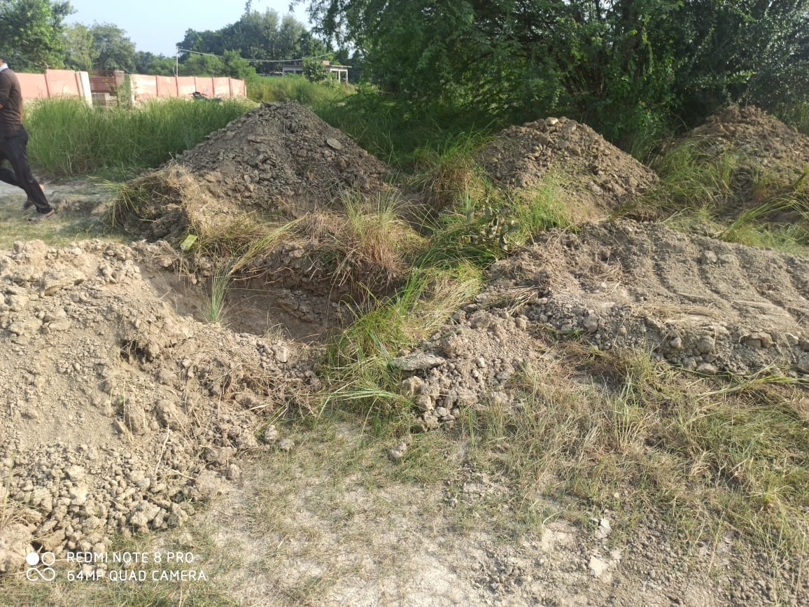etawah news,Four cows that went from Parauli Raman died