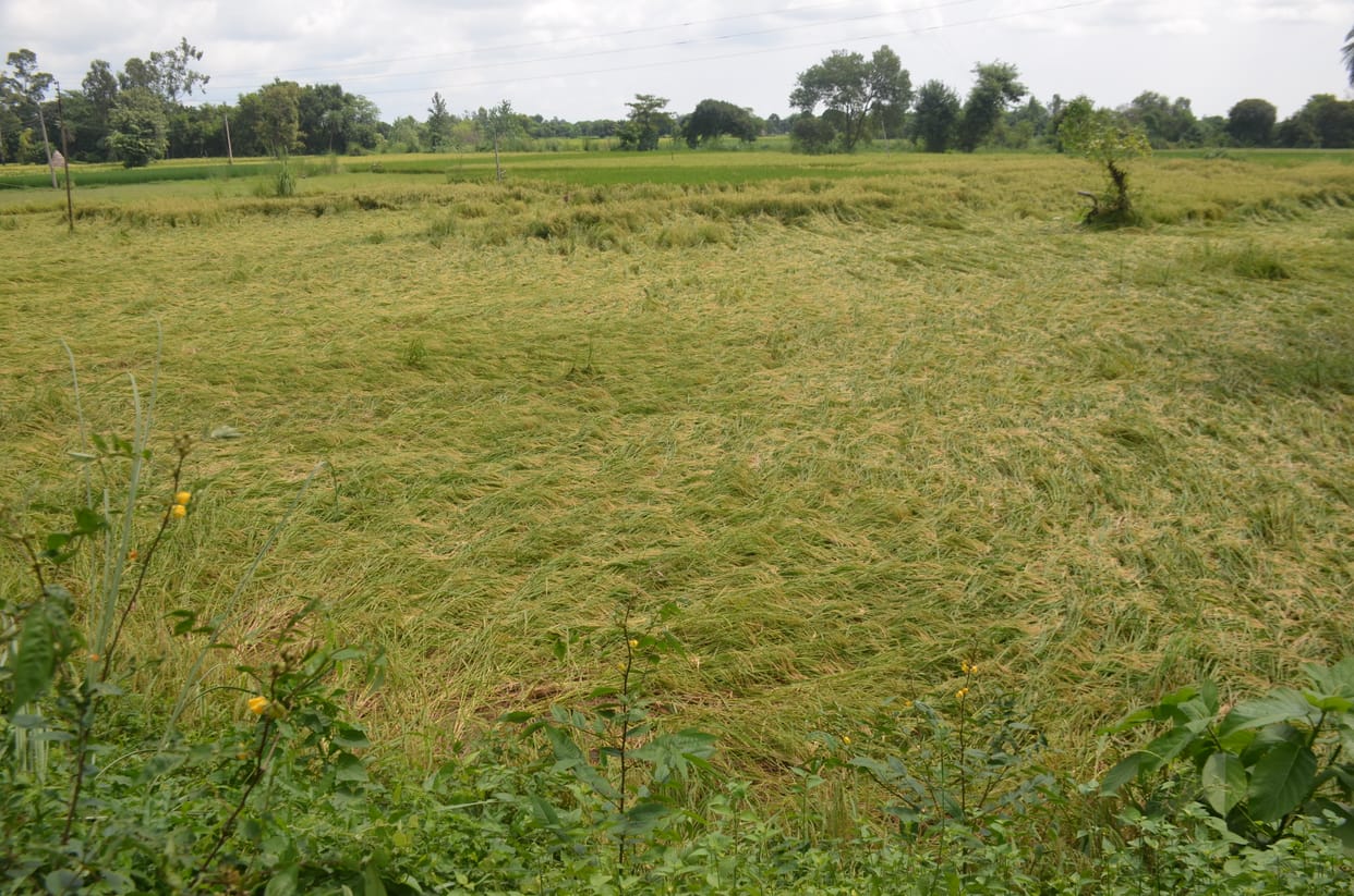 heavy rainfall problem