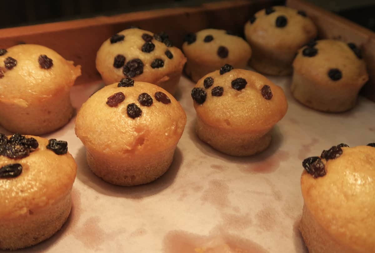 New Year 2023 Recipes Tasty And Easy To Make Food Recipe in Hindi