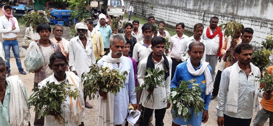 kharif crop damaged, illi deacese