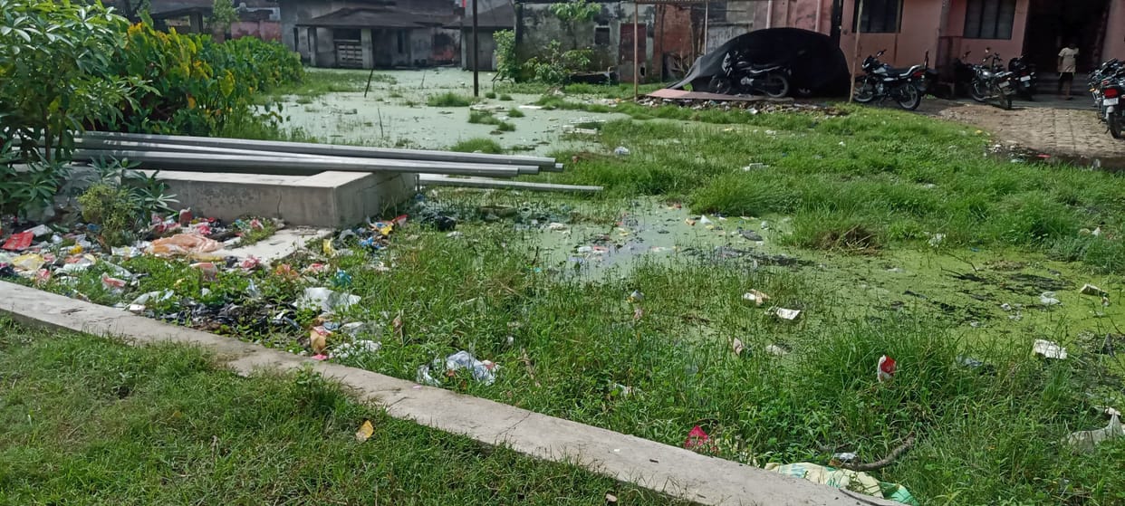 Garbage spread on the roads, the danger of dengue increased in the city