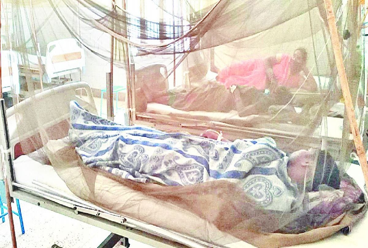 Number of dengue patients increasing in Mainpuri
