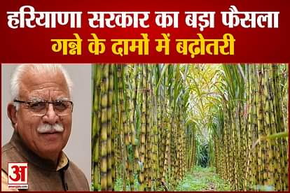 Haryana Government Has Increased The Price Of Sugarcane Number One In Country