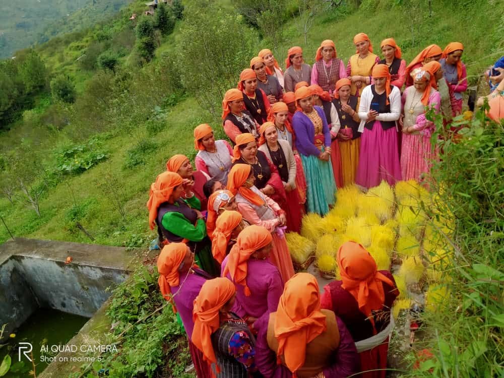 shakh mata festival celebreted in aani