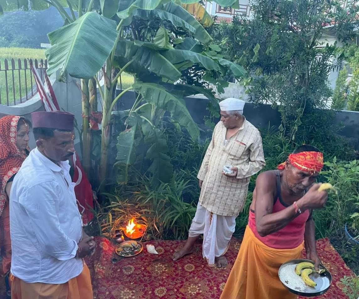 Invited Kadali tree