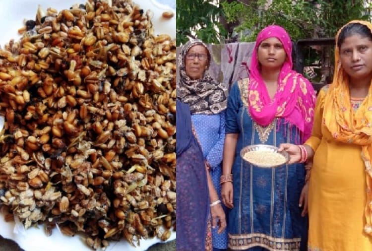 Rotten Wheat distributed to Poor in Chandigarh