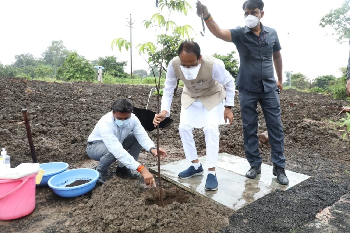 A picture of CM Shivraj Singh Chauhan planting a sapling in the rain goes viral on social media, users wrote Andaz Apna Apna