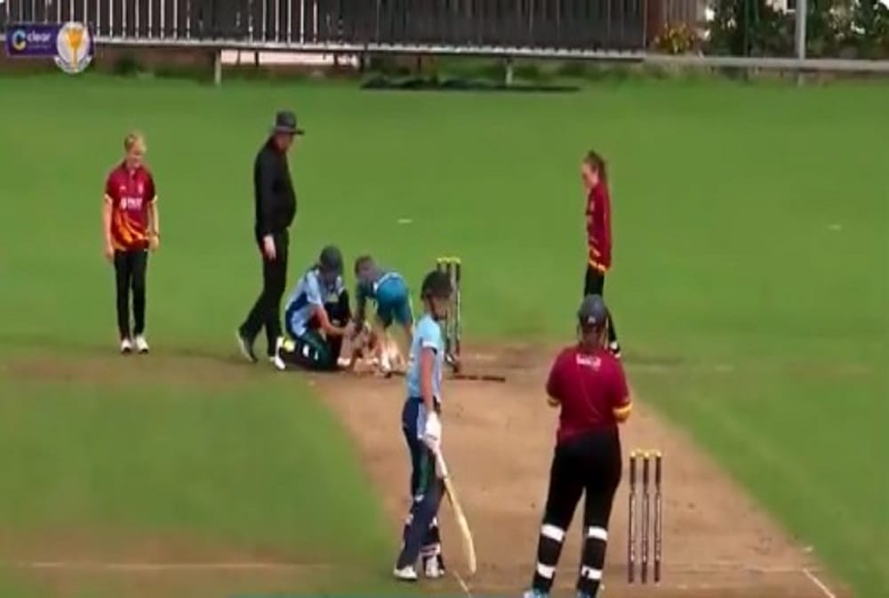Dog steals the ball to bring Ireland domestic game to a halt, video goes viral