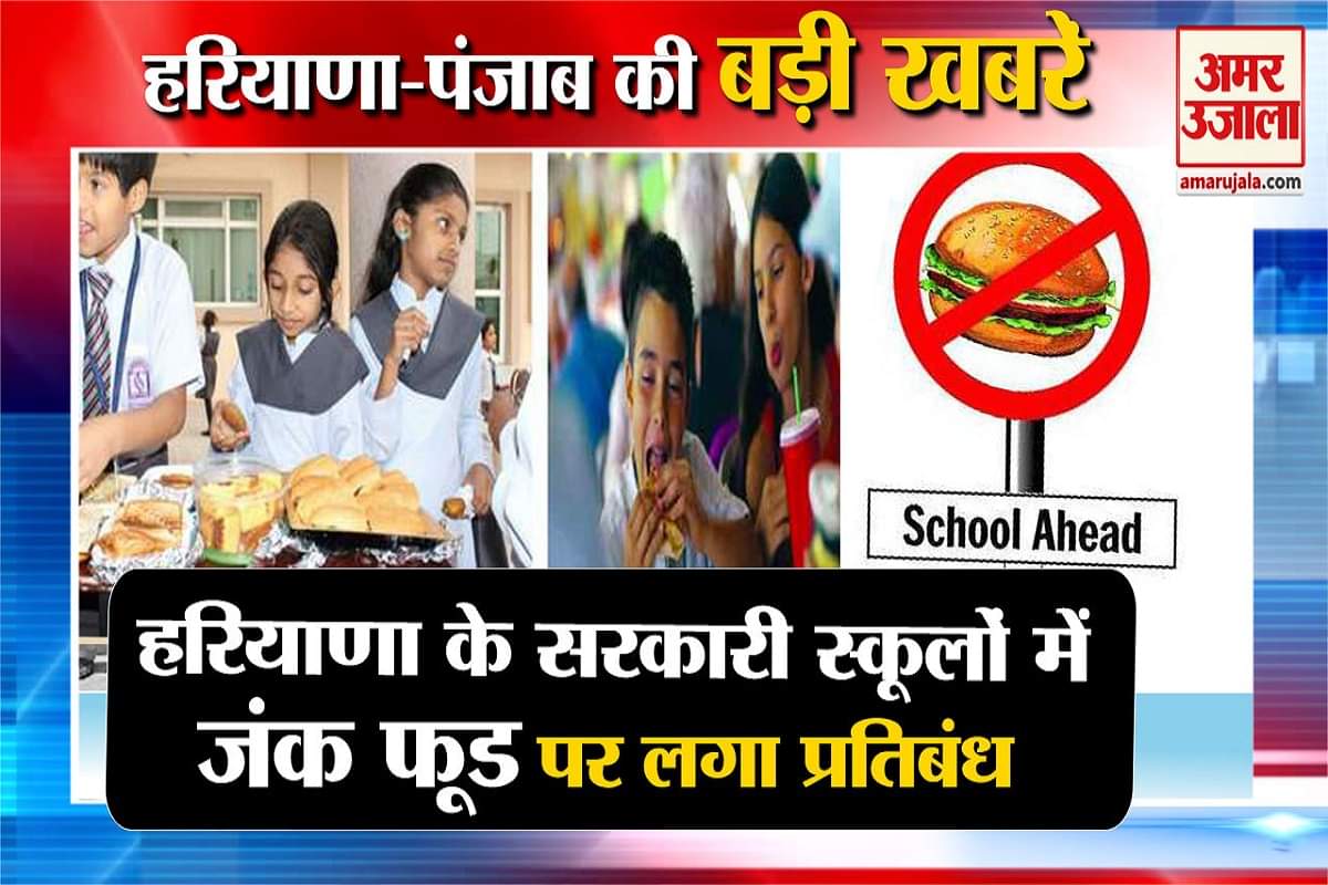 हरियाणा न्यूज