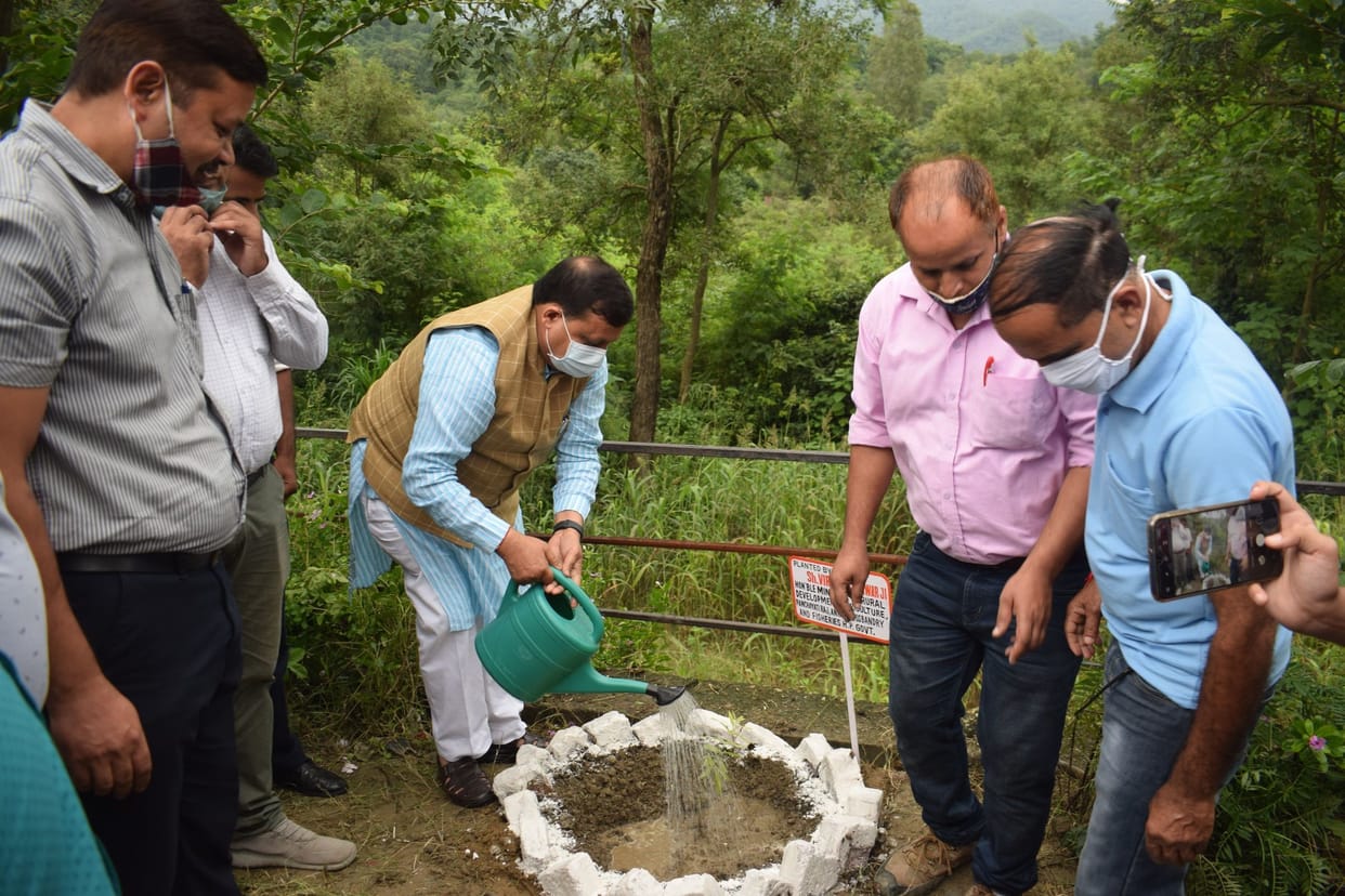 Water storage check dam will irrigate 87.5 hectares of land