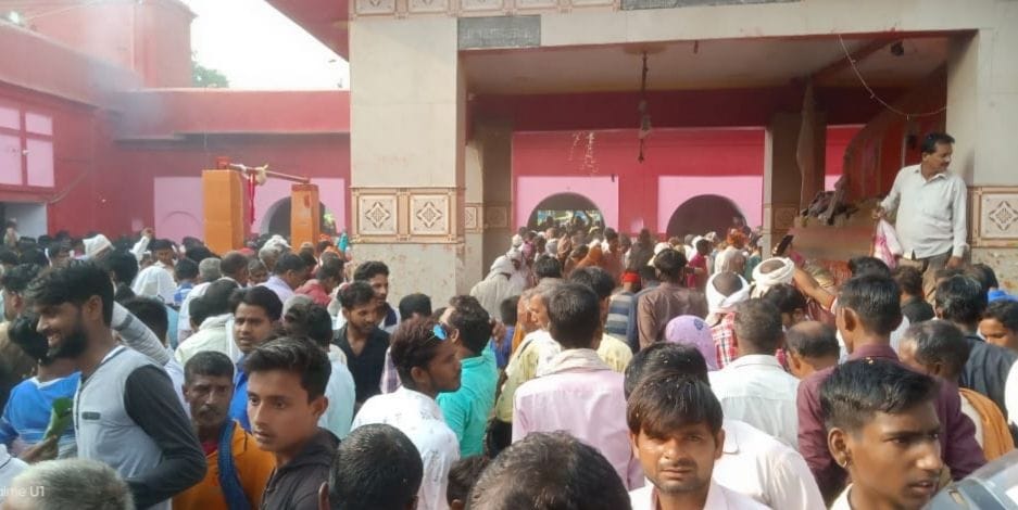 Animals do not get sick by the grace of Jahra Devi, devotees arrived from many states