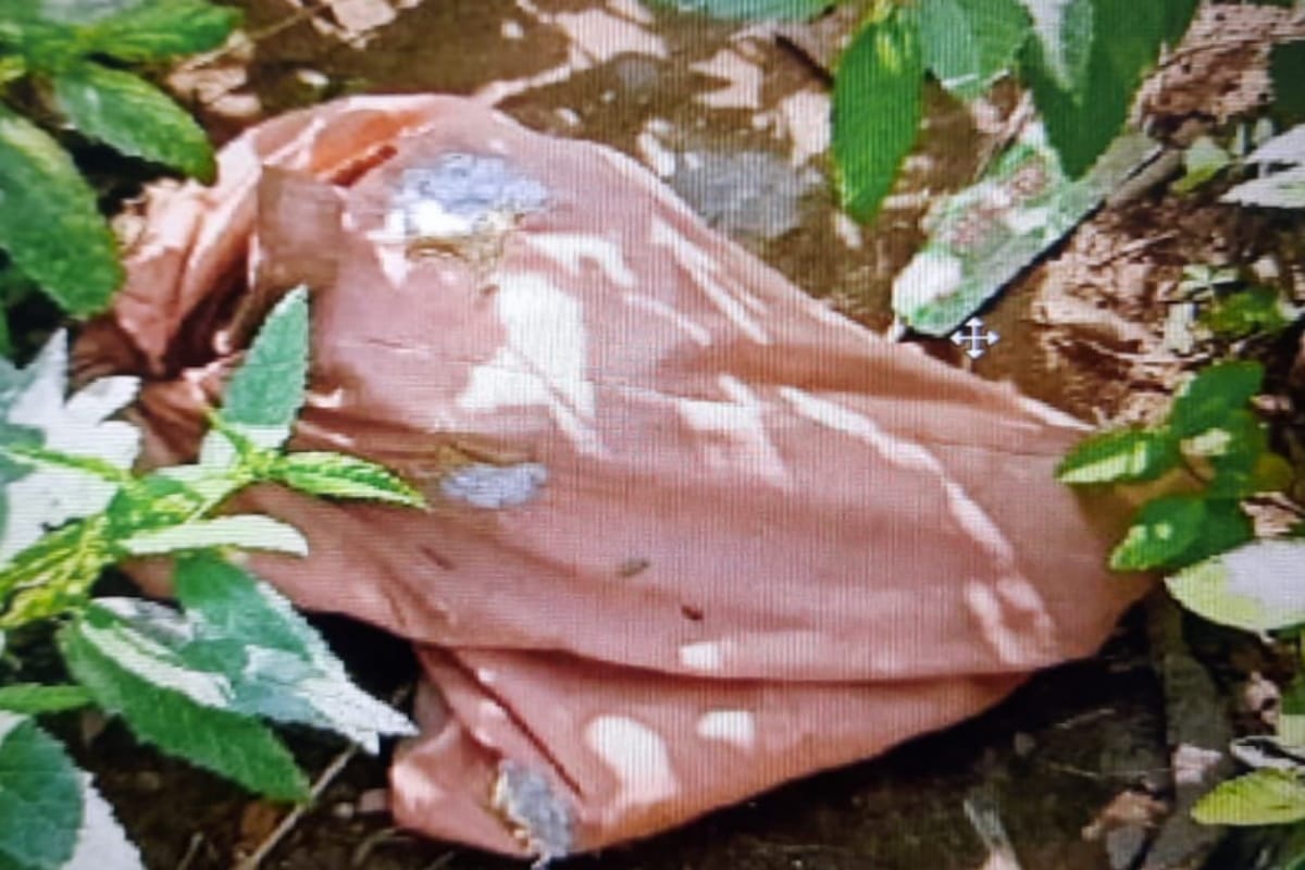 Bijnor Crime News: Please uncle, leave me, I will die and last breathes recorded in Mobile but could not escape