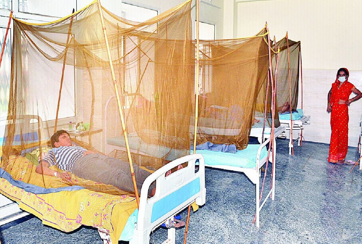 Dengue Patients Cross Five Hundred Digit In Agra Divison Latest News