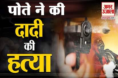 Rohtak Murder Grandson Shot And Killed Grandmother For Property