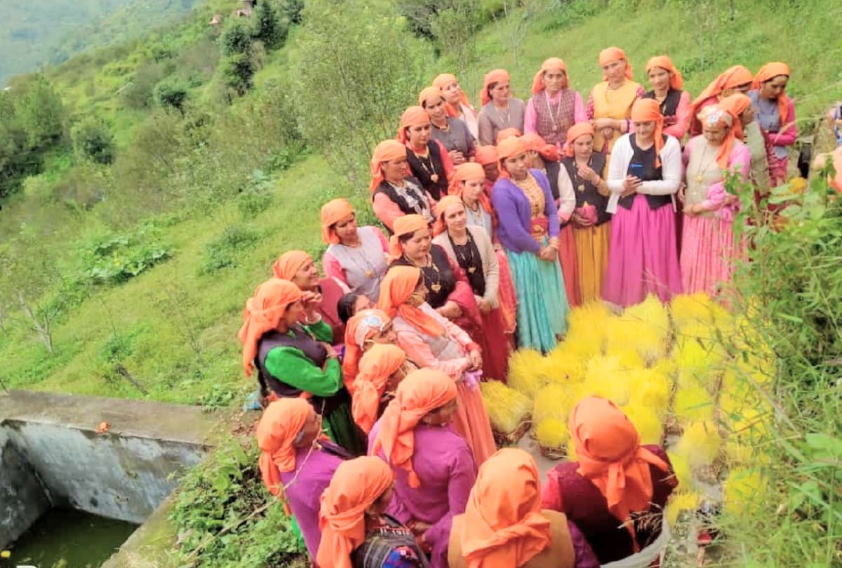 Jagra festival: people Greets the devta by lighting  mashal in their hands in rohru shimla, see spectacular pictures