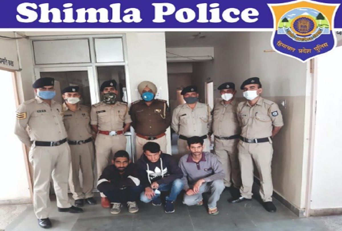 Himachal Pradesh news : three persons arrested in Theog for stealing gold 