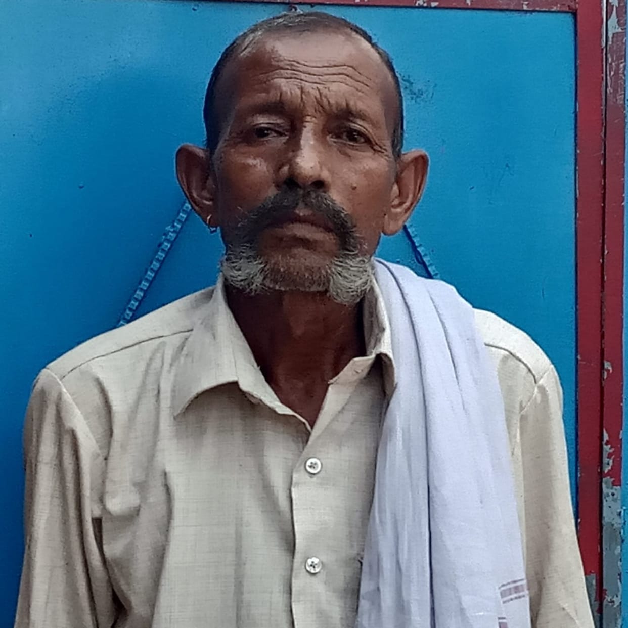etawah news,Eight month old goat, cost 12 lakhs