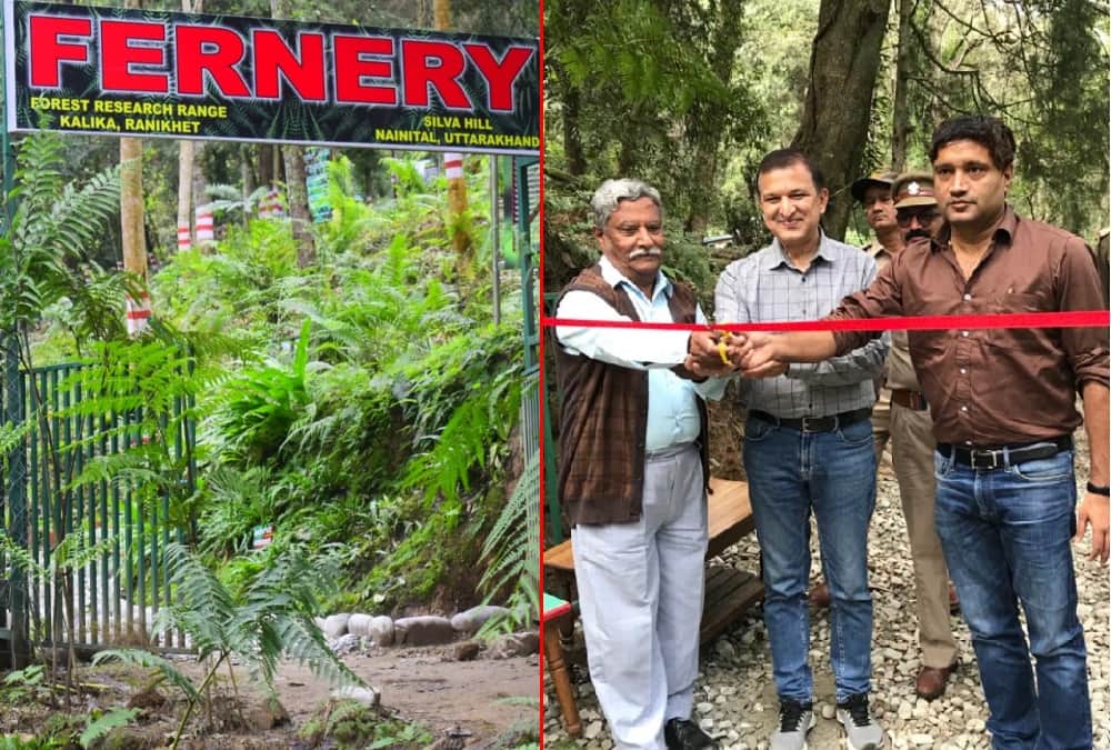 Uttarakhand News: Natural Fern Park Built in Ranikhet For The First Time in India Photos
