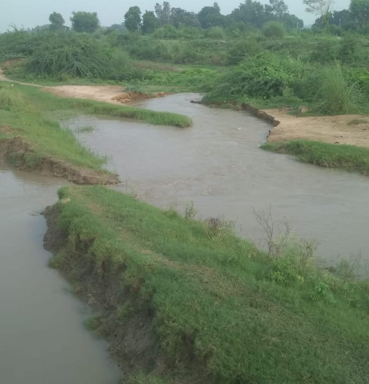 Fields filled with water due to a ditch in the canal