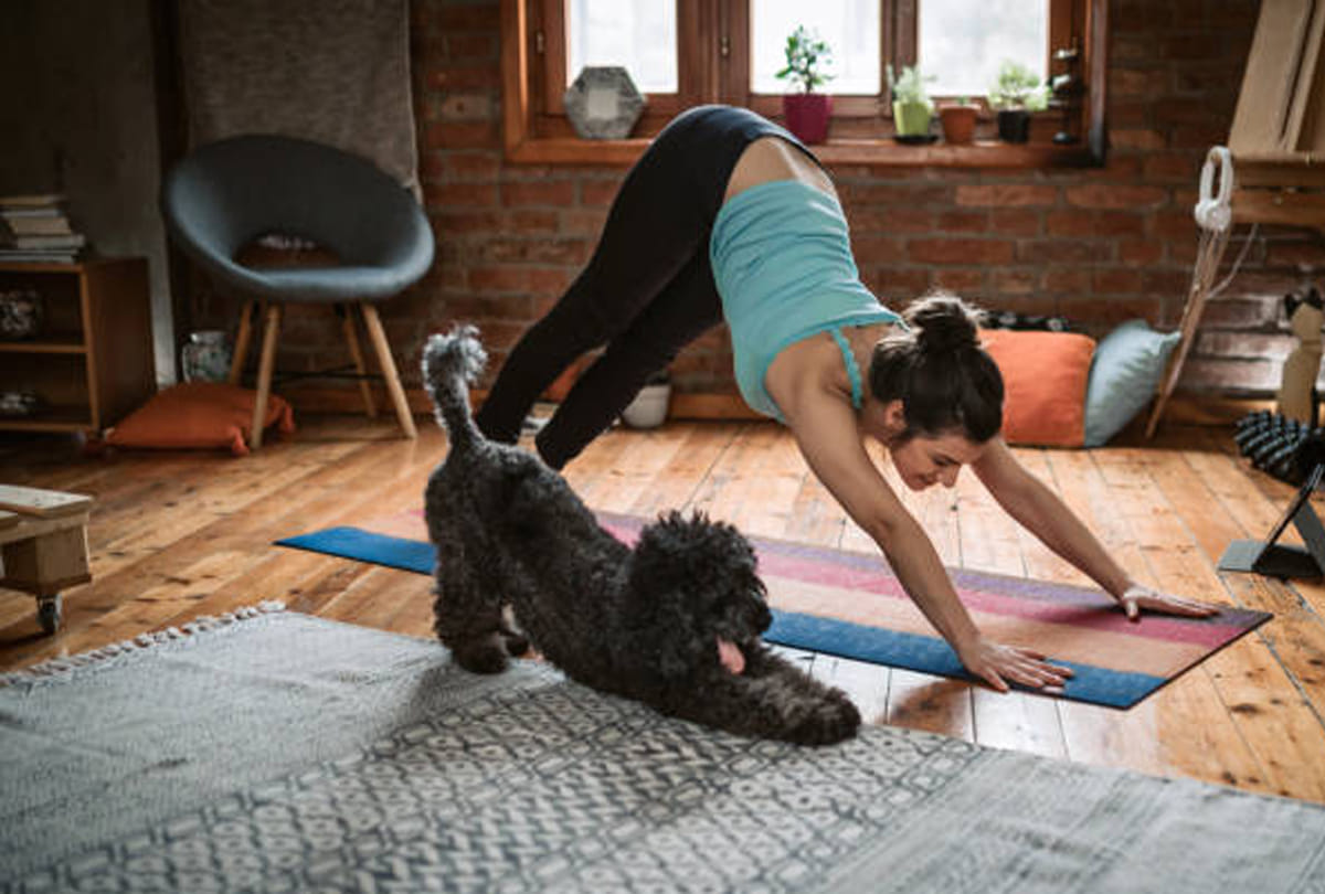 Best yogasana for better immunity and healthy life
