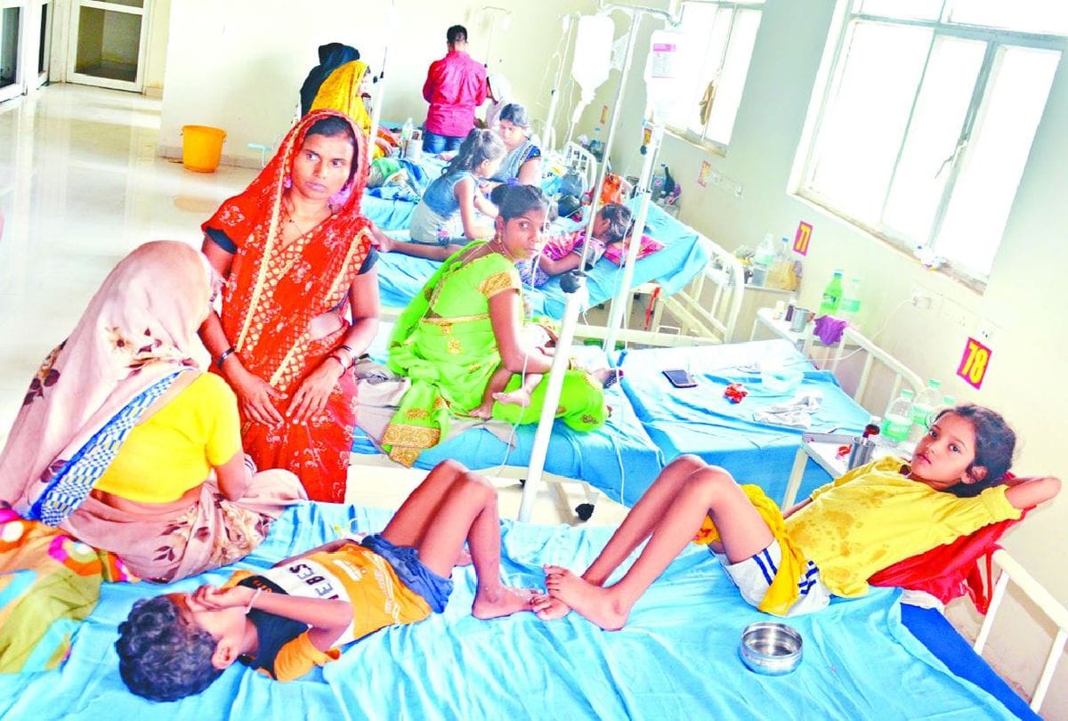 Firozabad Mathura Viral Fever Dengue Death News: 14 patients died of dengue and viral fever