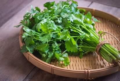 Health tips benefits of green coriander in hindi