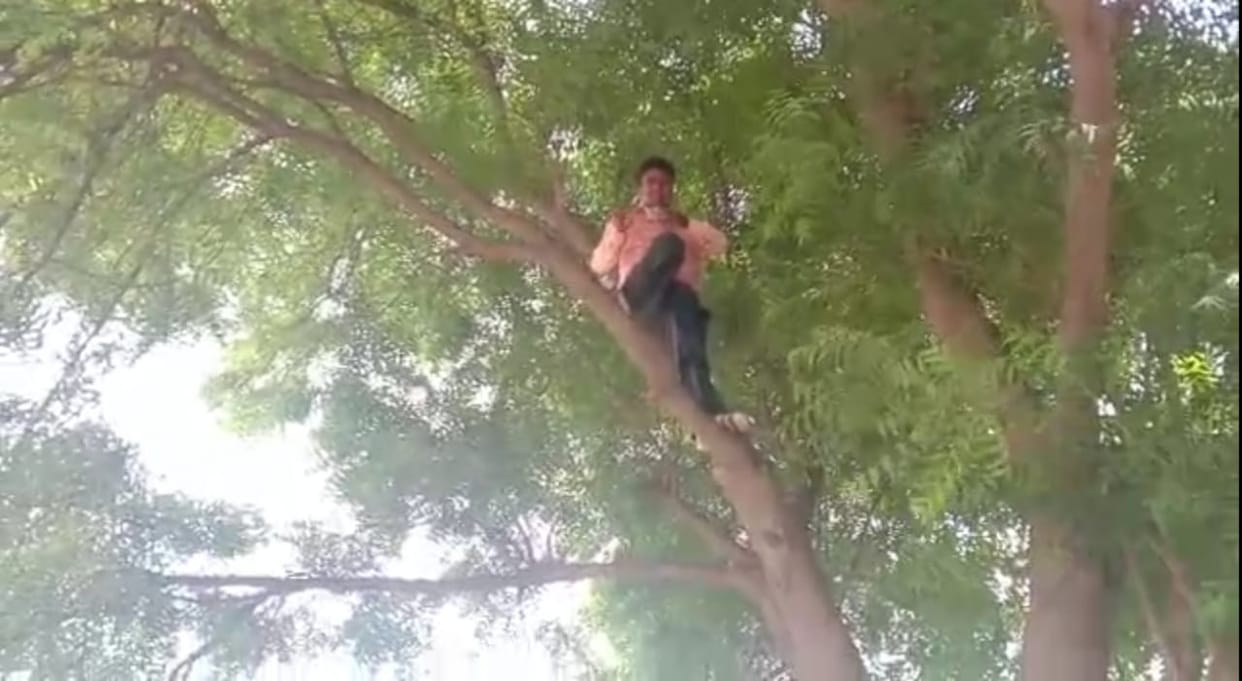 The young man climbed a tree for self-immolation by spraying petrol on himself